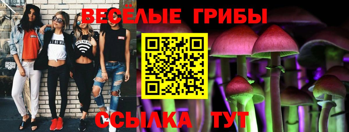 Псилоцибиновые грибы ЛСД  Вход с VPN  Калининград  Галлюциногенные грибы Psilocybine cubensis 